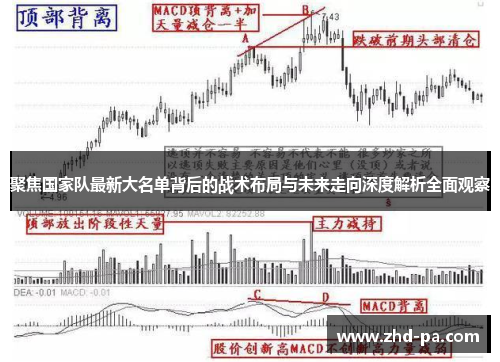 聚焦国家队最新大名单背后的战术布局与未来走向深度解析全面观察