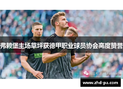 弗赖堡主场草坪获德甲职业球员协会高度赞誉