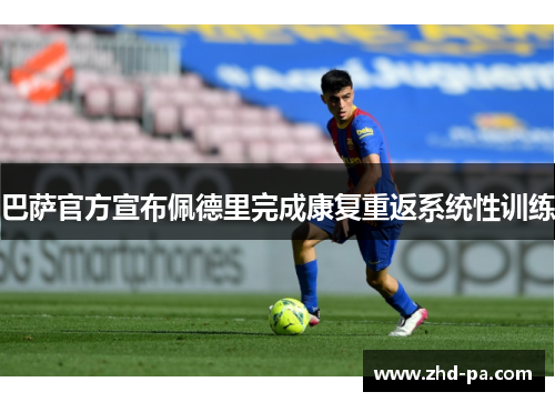 巴萨官方宣布佩德里完成康复重返系统性训练 巴萨官方宣布佩德里完成康复重返系统性训练