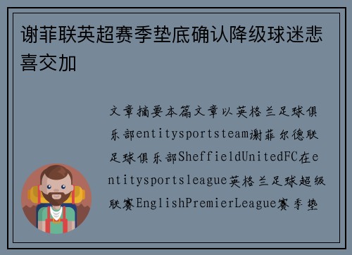 谢菲联英超赛季垫底确认降级球迷悲喜交加